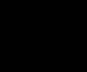 sorgenlos.de